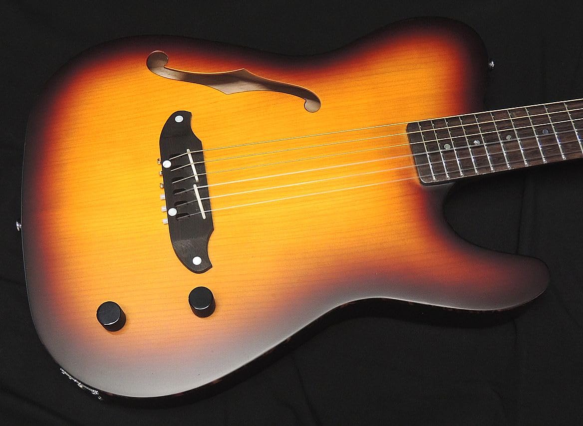 Amazon | SCHECTER OL-FL-N-P TSB ナイロン弦 Oriental Line